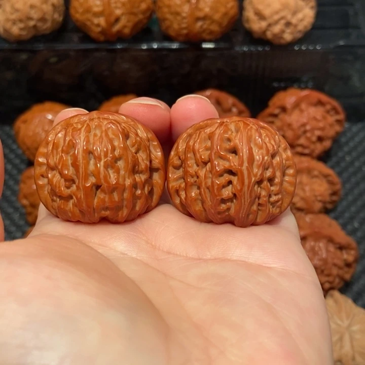 文玩核桃把件35.5尺寸白狮子1891