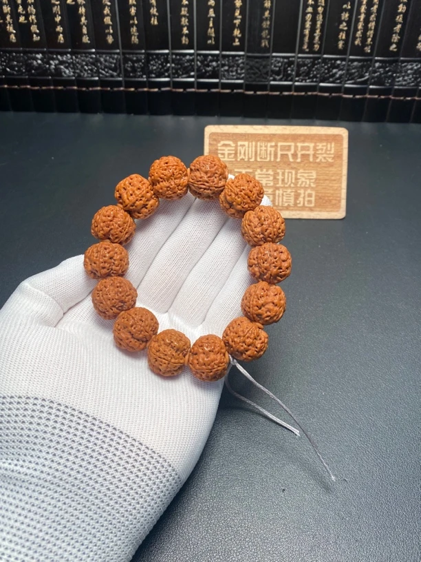 新品大金刚五星蜂王（2号）