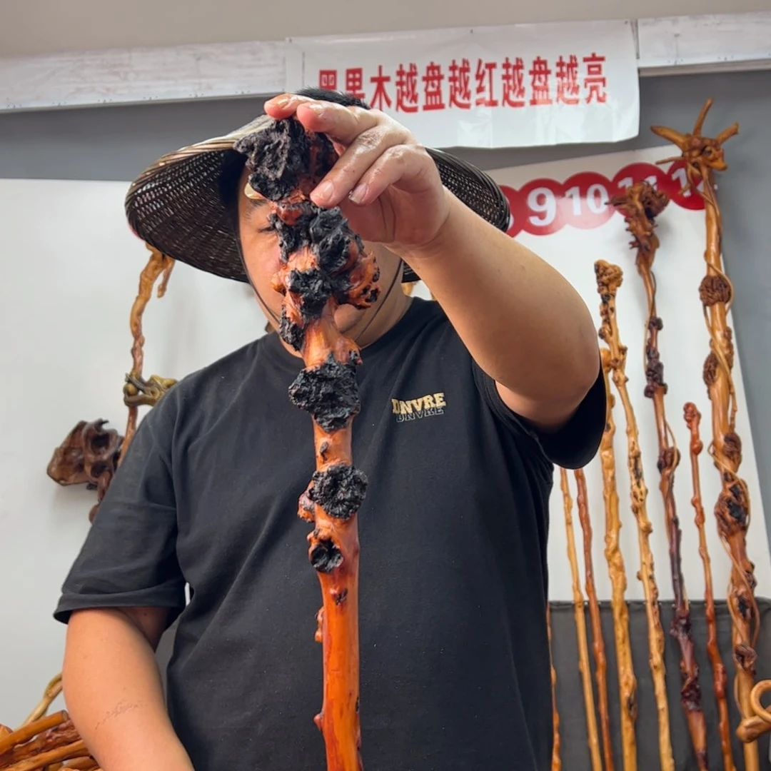 黑果木其他黑果木513