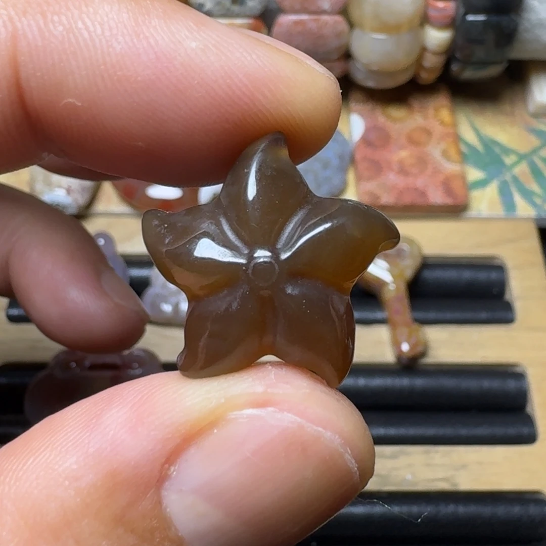 硅化玉黑 冰 海星未镶嵌
