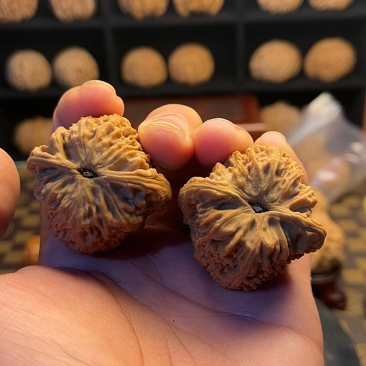 c****大叶紫檀（黑酸枝木类）