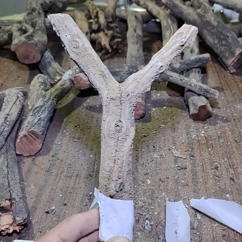 肆***爺火琉璃原杈，不保沉水，慎拍！