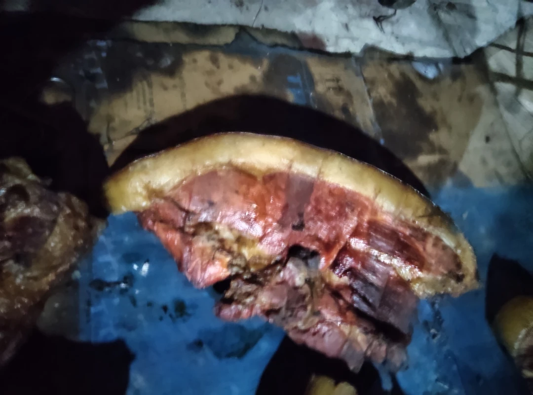 湖北恩施农家柴火烟熏五花肉腊肉营养美味可放心食用