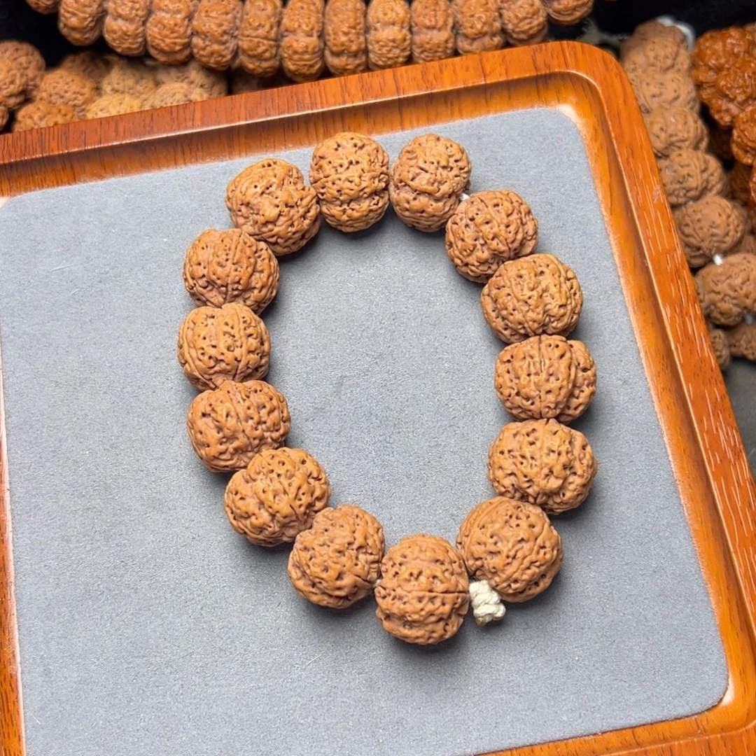 菩提20号金刚菩提满肉梅花23