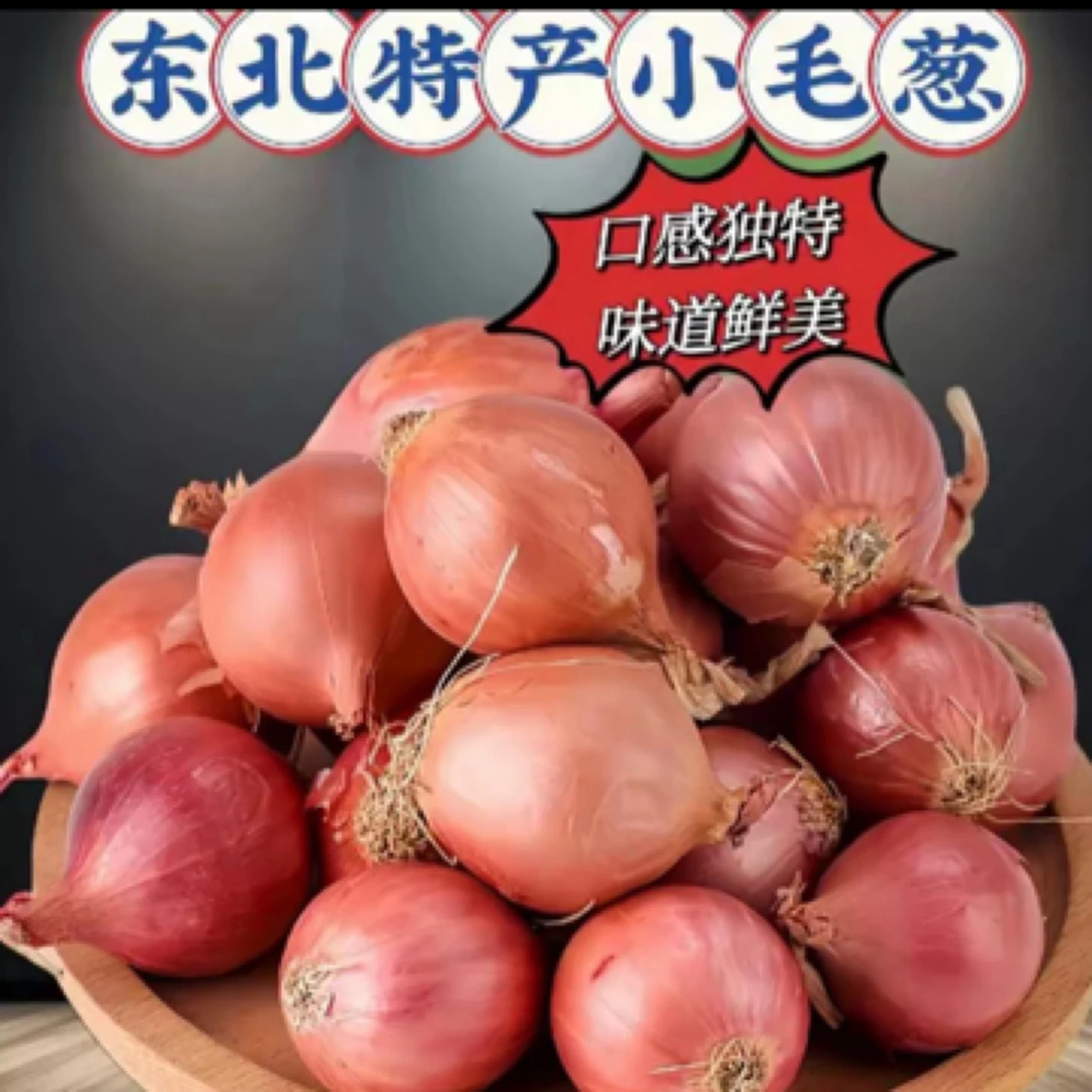 （大号）农村小园火毛葱，嘎嘎冲