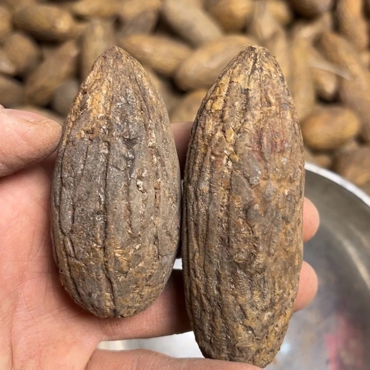 时***间千眼菩提吊坠千眼菩提 156号