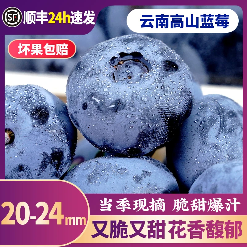 【20-24mm】云南蓝莓鲜果特大当季高山花香新鲜水果大果怡颗蓝莓