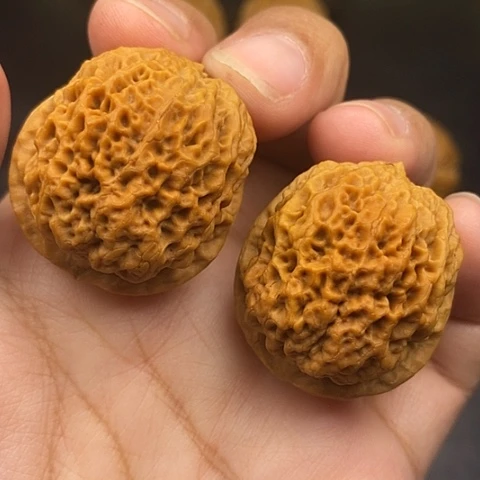 文玩核桃把件34尺蚂蚁纹