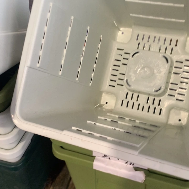 年**余22口奶白10个无托