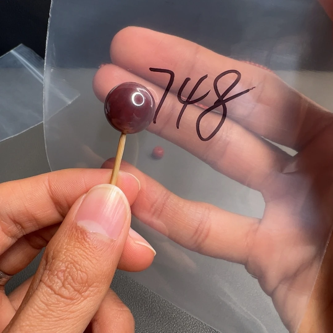 南红玛瑙未镶嵌748号南红15+