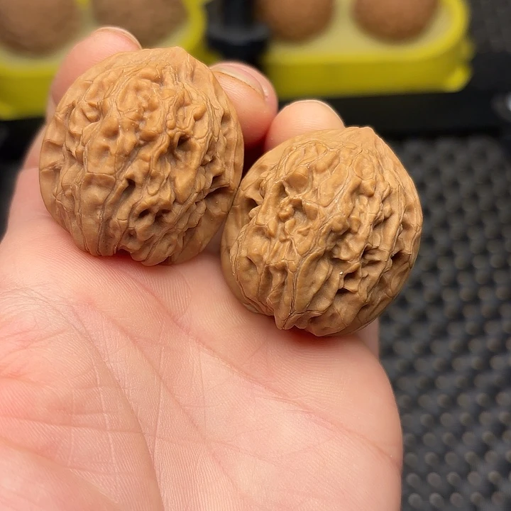 吊坠文玩核桃33红皮小手念