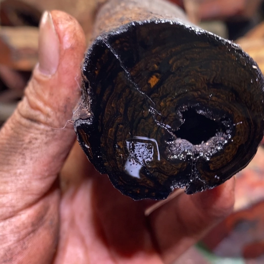 静***轩有机玻璃在线阅读量突破