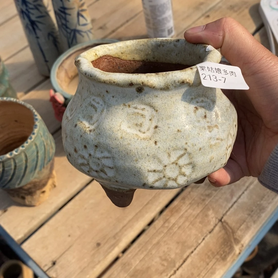 红陶7号多肉盆一个呀