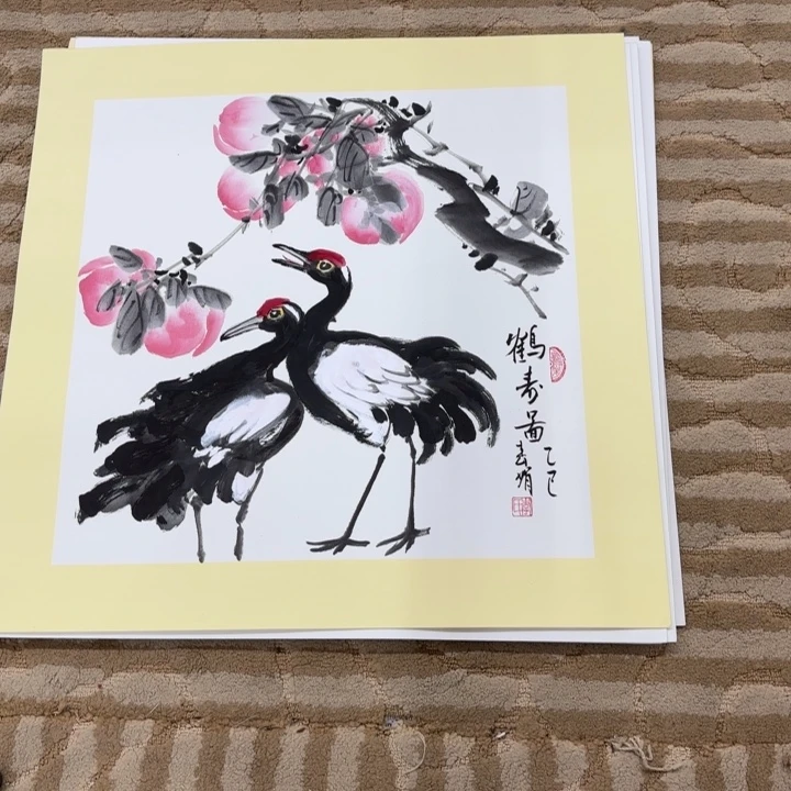 国画花鸟的翅膀和翅膀50