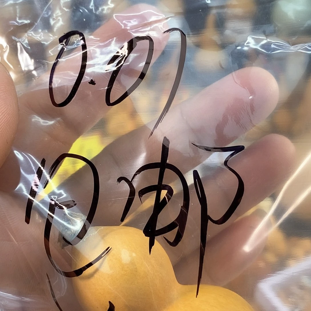 橄榄核手串/手链精品文玩葫芦随便挑