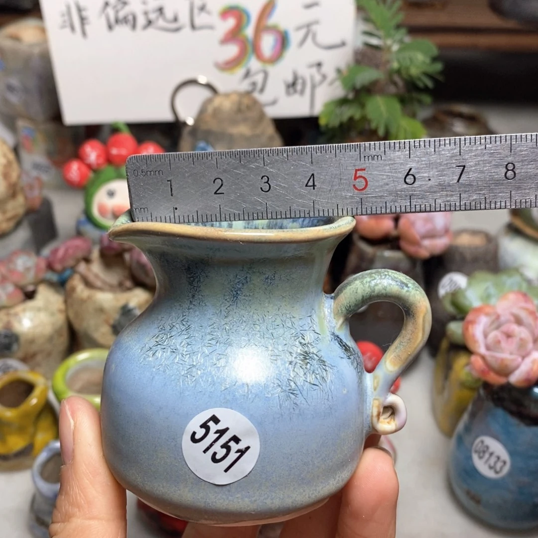 花盆拍5送一个小礼物