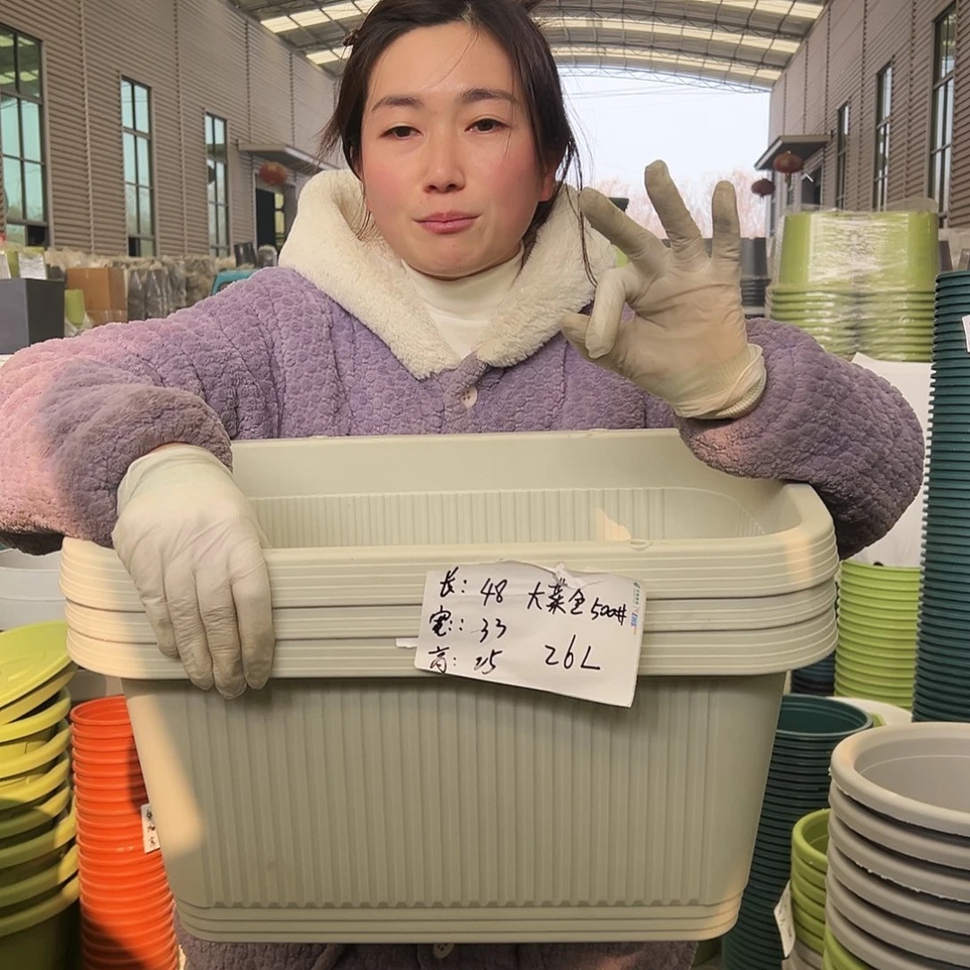 菜盆500#米白3个无托