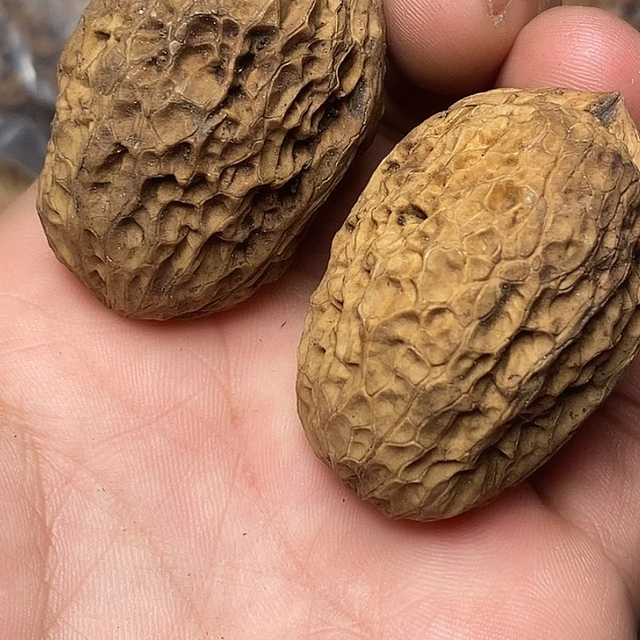 文玩核桃把件志成云铁文玩18