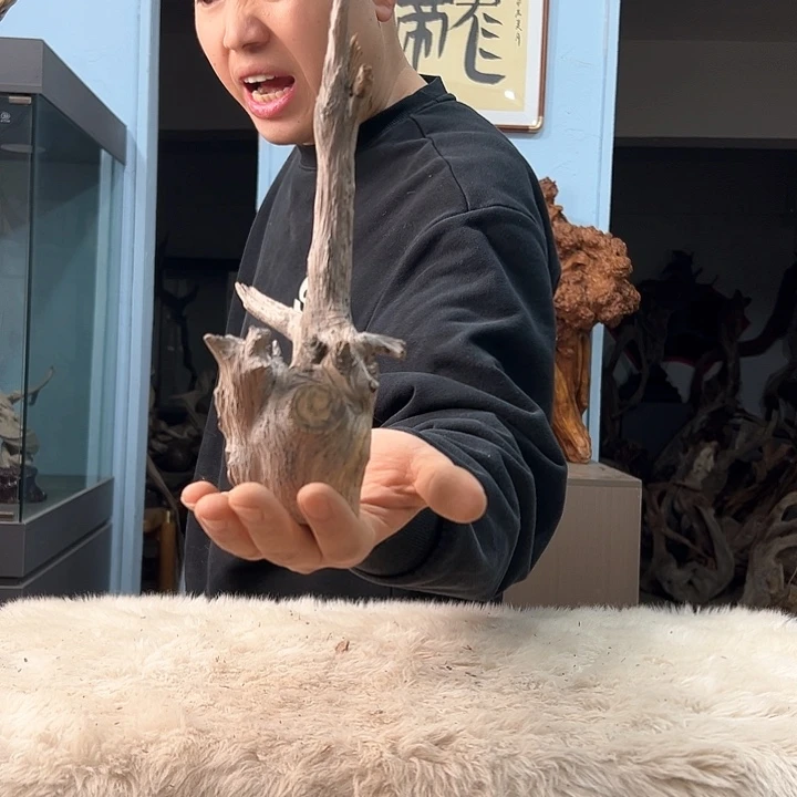 柏木赵*波我们的生活也是如此吧哈哈