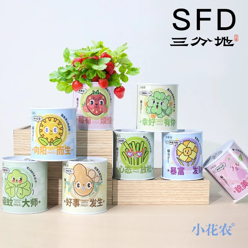 《三分地SFD》网红罐头种植小盆栽小花农绿植室内植物驱蚊办公桌草