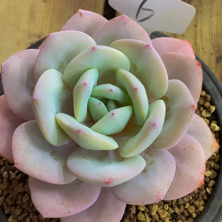 在家闲不住也可以用