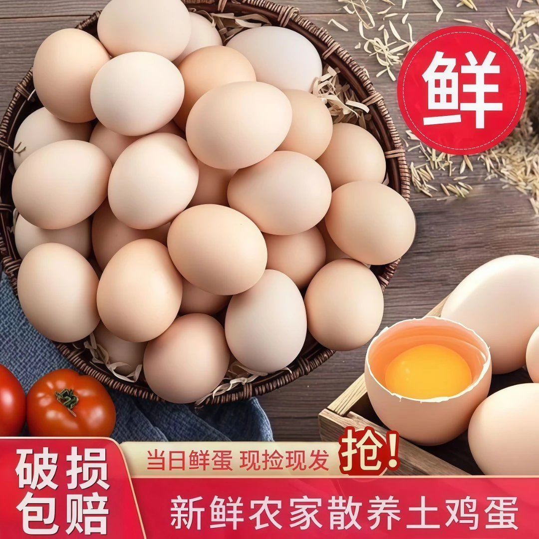 【新品50枚】山林散养土鸡蛋30枚新鲜粉壳鸡蛋每日现捡现发鲜蛋