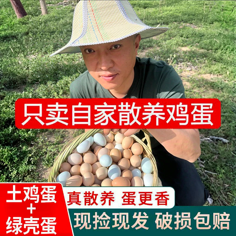 【50枚】农家散养乡村虫草蛋 土鸡蛋 杂粮蛋 新鲜现捡