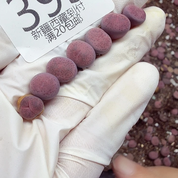 我们一起看电视呢哈哈好393