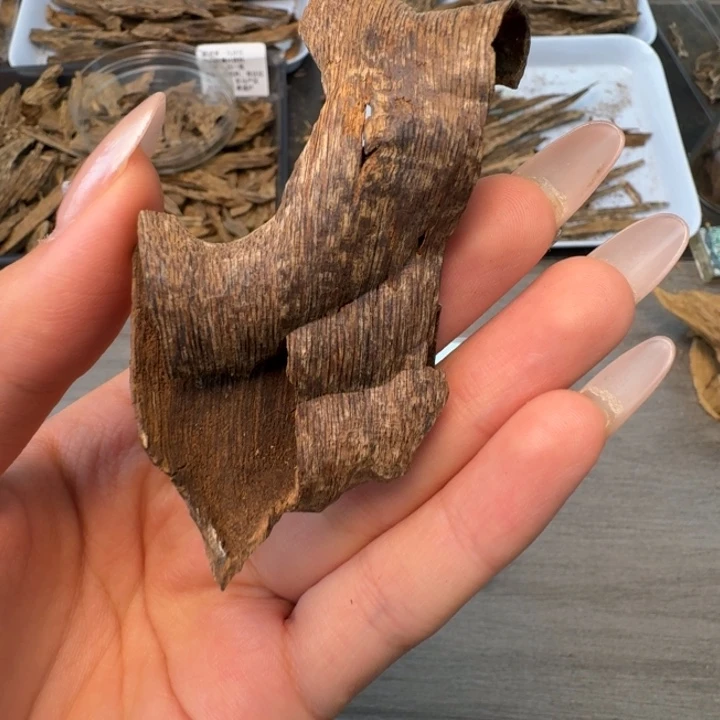 海南沉水包壳3.77克可以泡水泡茶泡9