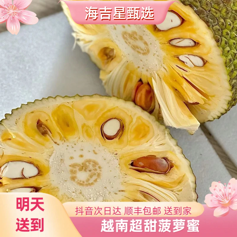 【新人关注福利】越南红肉菠萝蜜6-8斤热带水果越南