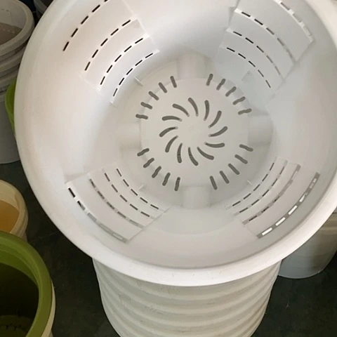 树脂有灰测40白色4个无托