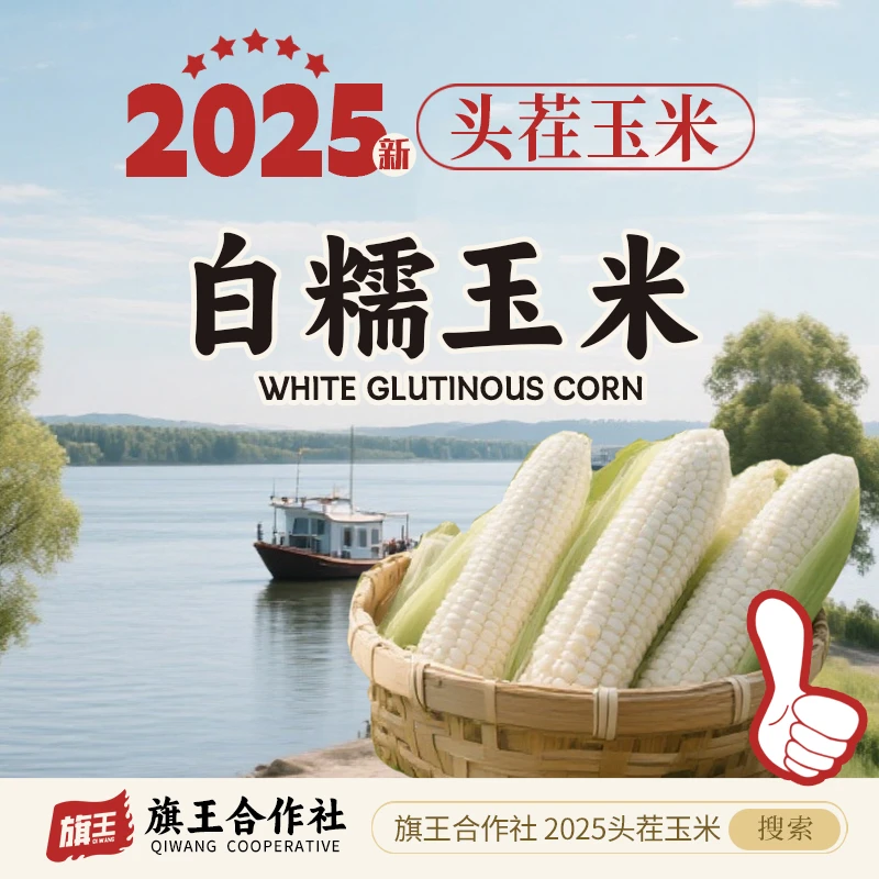 （试吃两根）25年头茬玉米白玉米*12根 8-8.5斤左右