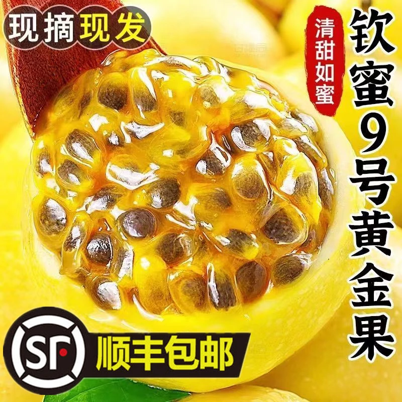 【顺丰包邮】钦蜜9号黄金百香果  新鲜水果香甜多汁3斤纯甜无酸