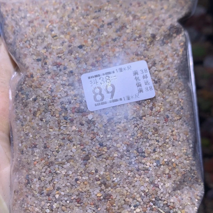 精品生石花多肉38.89直播间铺面