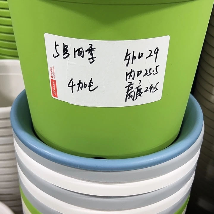 特价5号口29高24.5白色5只无托