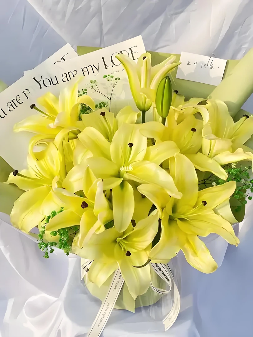 【黄天霸】进口单瓣香水百合种球