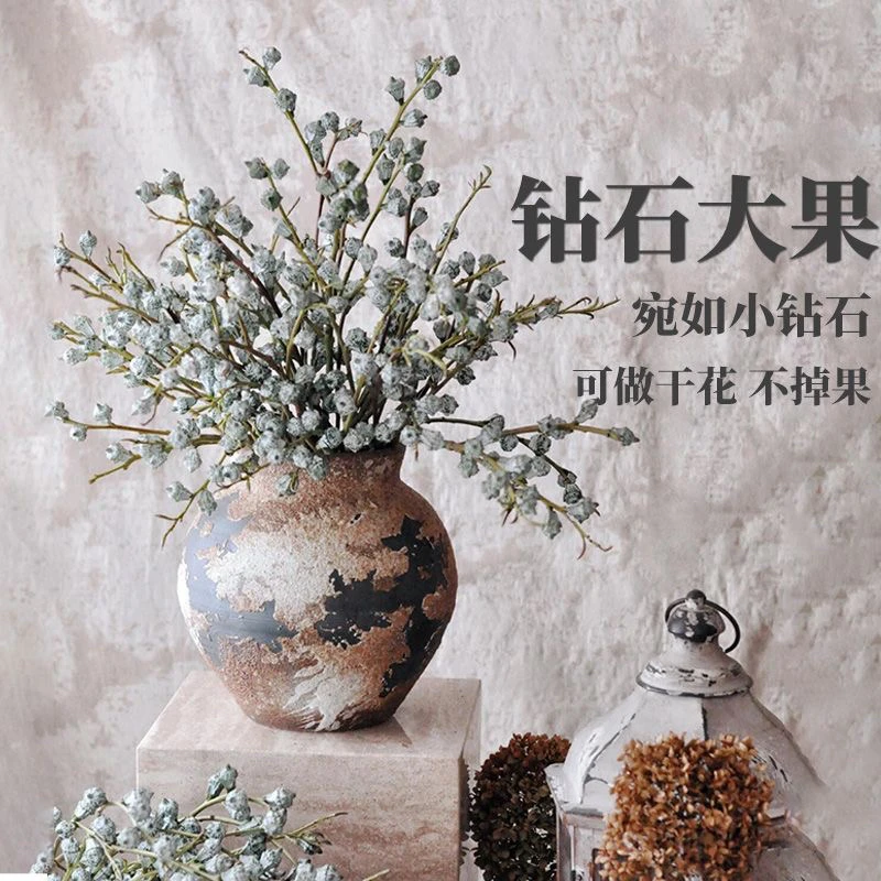 尤加利果新鲜大果鲜切枝水培植物可做干花绿植室内插花顺丰发货