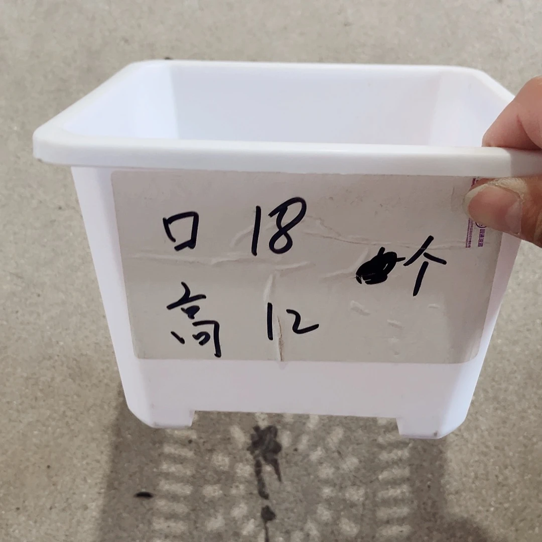 塑料升级款景天18方白色盆10个无托
