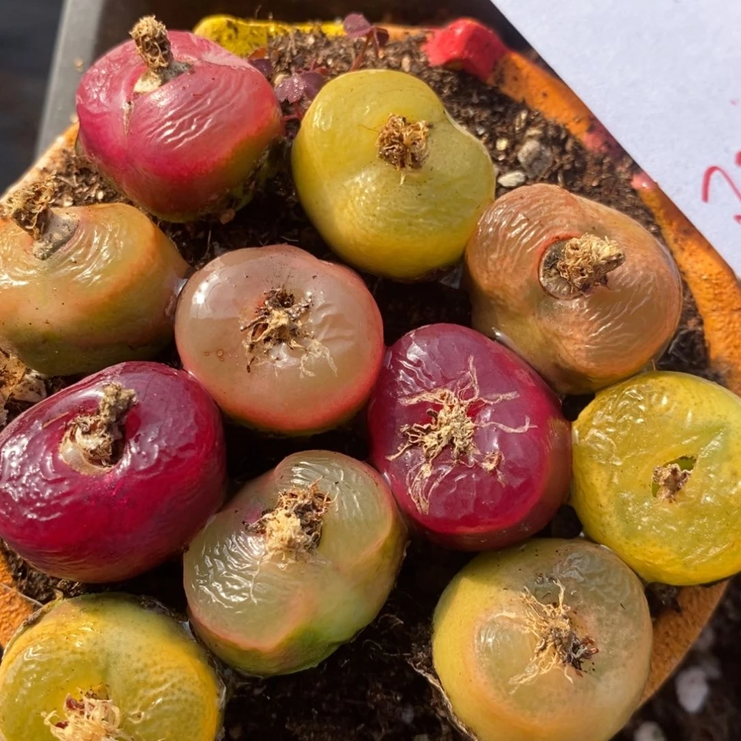 882一组一组一组