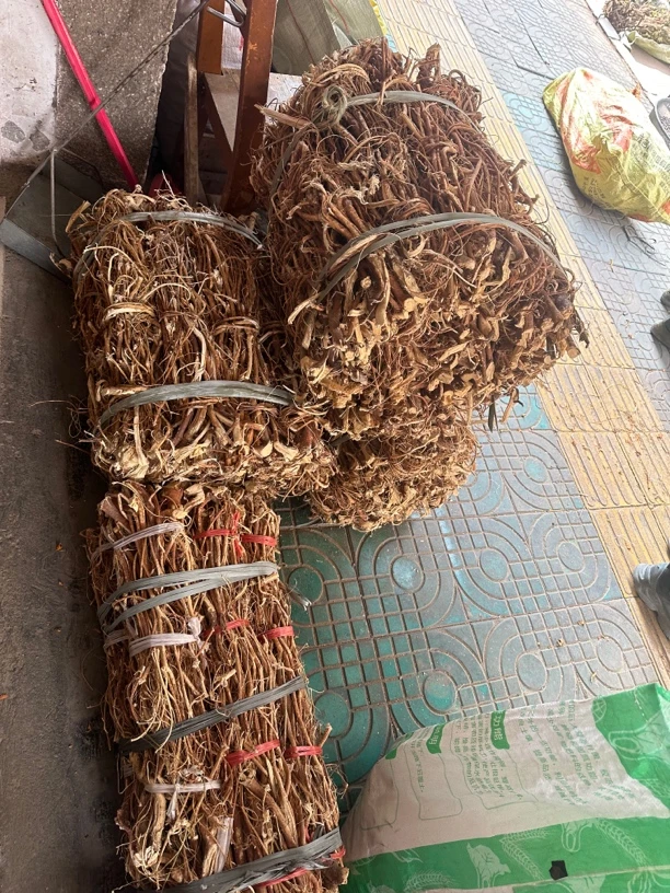 五指毛桃五指毛桃根干货五爪龙五指牛奶根配牛大力煲汤料泡酒