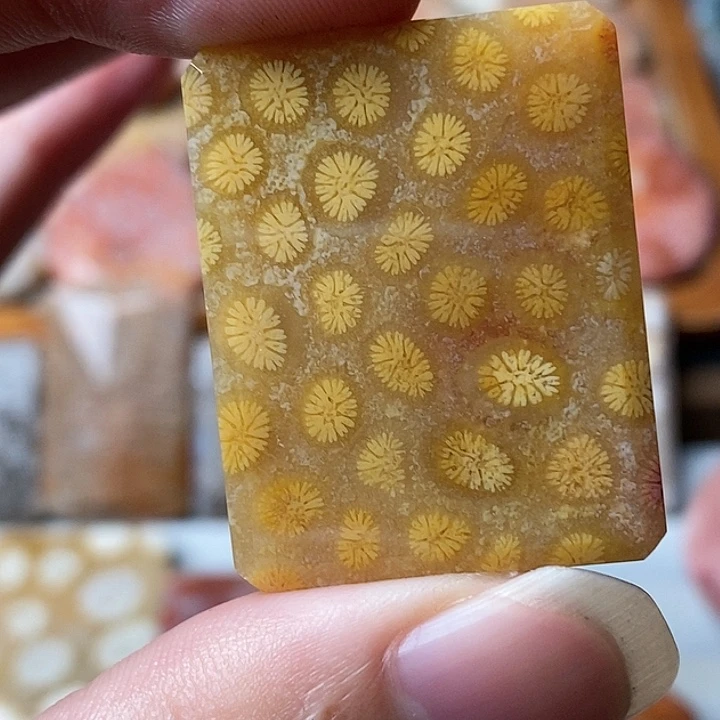 方***人硅化玉未镶嵌吊坠