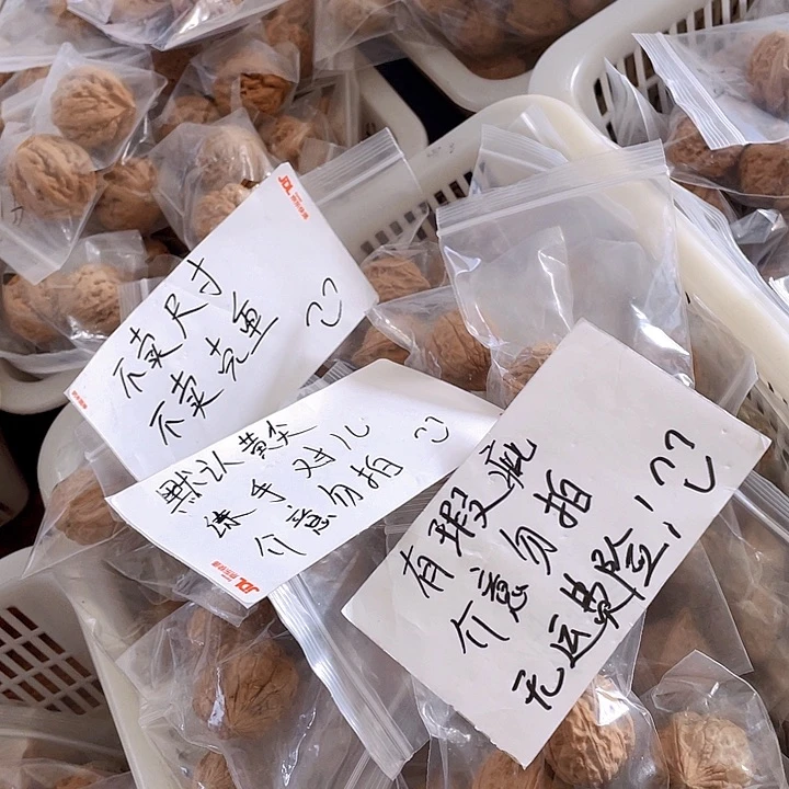 把件文玩核桃文玩龟甲文