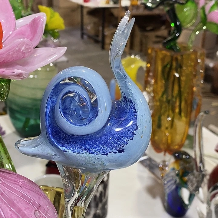 夜光蜗牛高47厘米