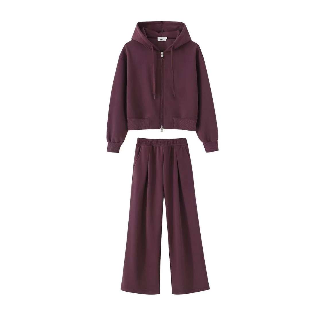 2025春季新款高级感时尚百搭休闲卫衣套装开衫连帽显瘦两件套