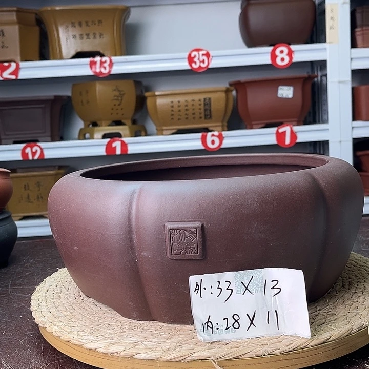 花盆紫砂你在一起