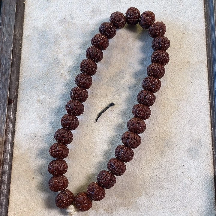 金刚菩提手串老树王11