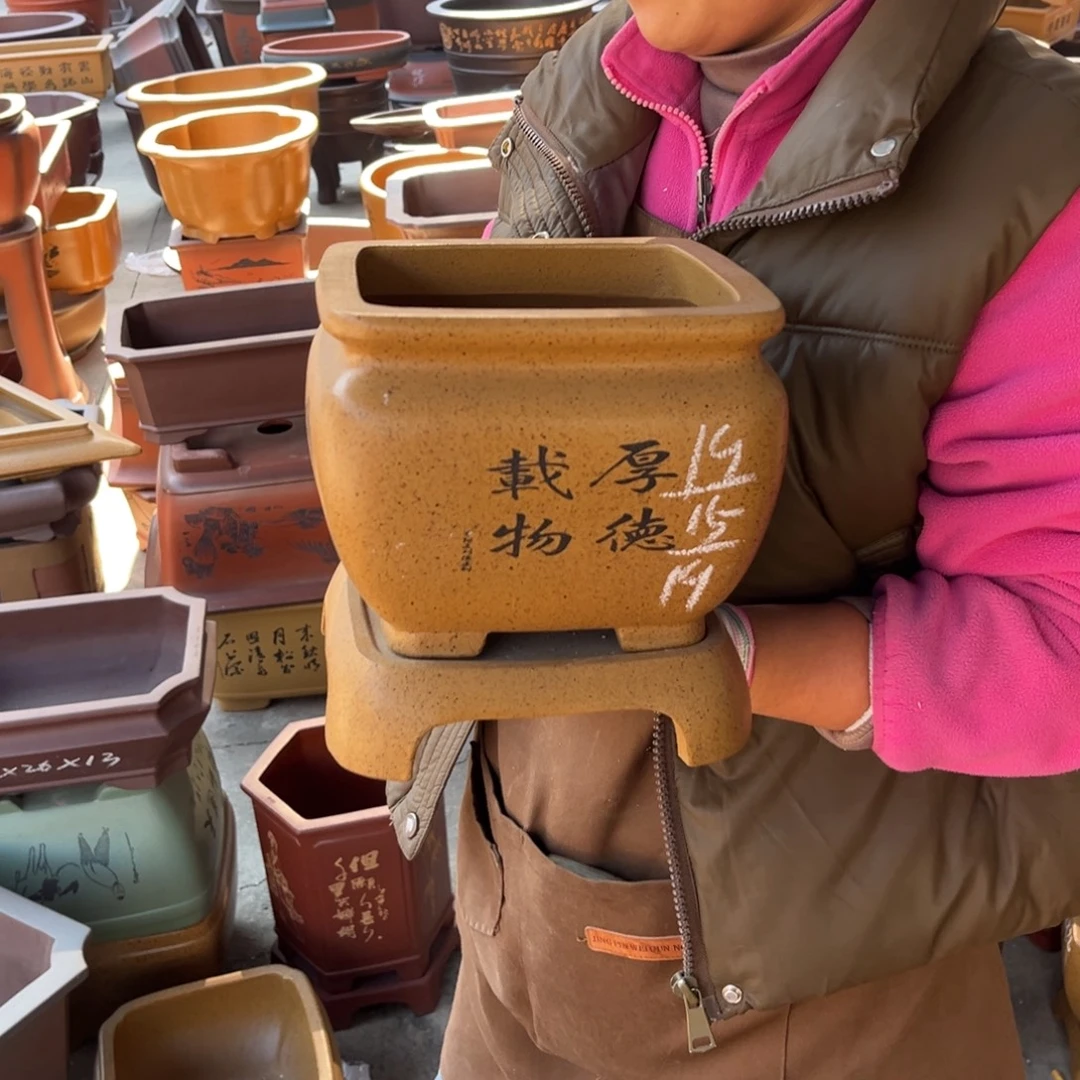 花盆紫砂盆景艺术