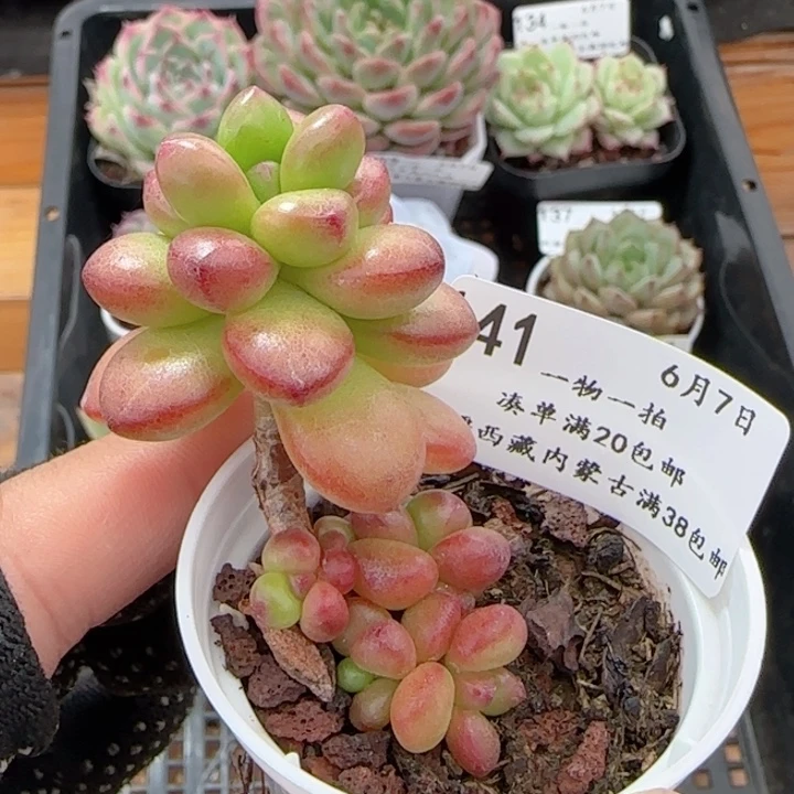 0607-141福利福利