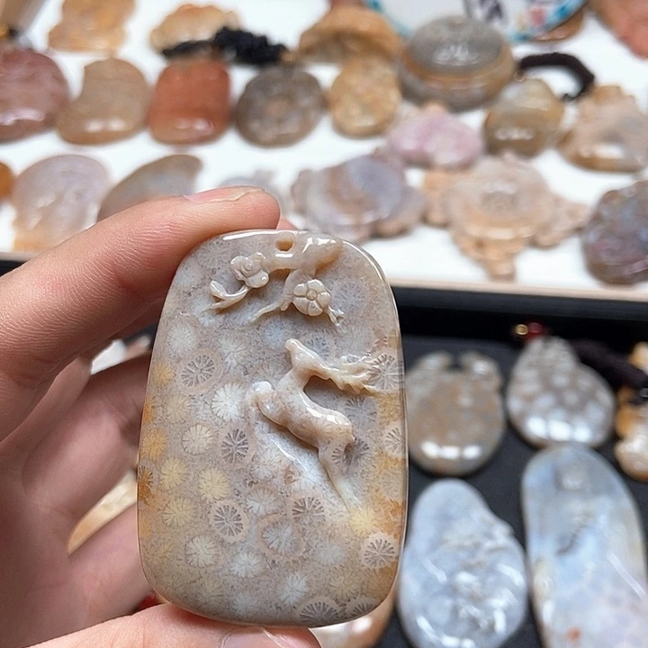 硅化珊瑚（珊瑚玉）未镶嵌颈饰