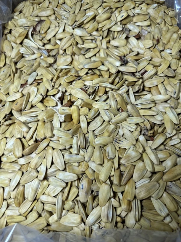 清姐同款陈皮瓜子500克装